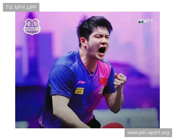 樊振东回归之路充满悬念 王楚钦林诗栋表现让选择更具挑战